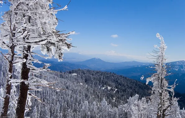 Картинка зима, лес, Горы