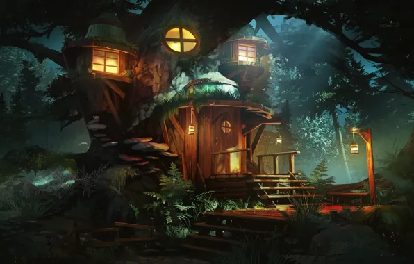 Lights, house, woods