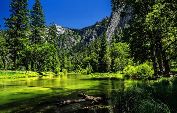 Деревья, горы, река, Калифорния, Йосемити, California, Yosemite National Park, Сьерра-Невада