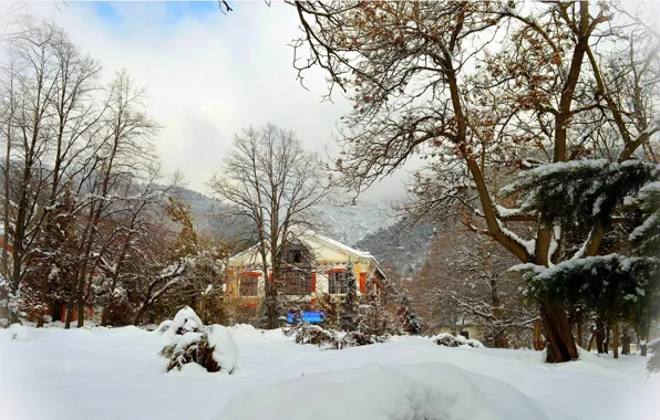 Картинка Зима, Деревья, Снег, Дом, Мороз, Winter, Frost, Snow