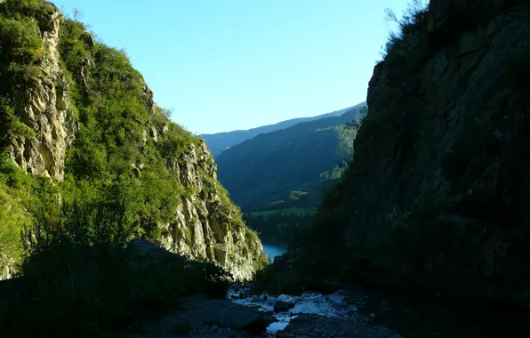 Горы, природа, вид, алтай