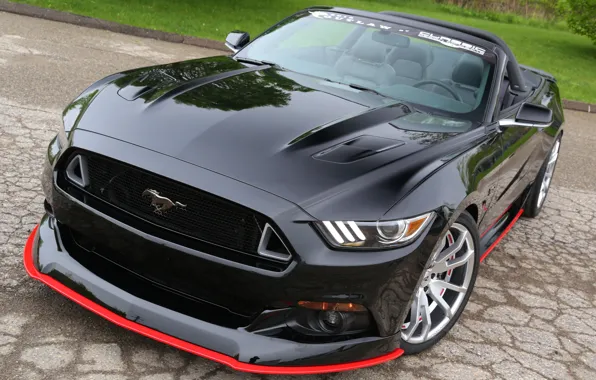 Mustang, Ford, бампер, GT Convertible