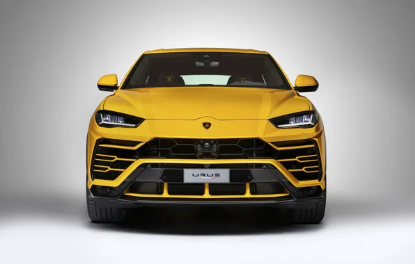 Картинка Lamborghini, Light, Yellow, New, Urus, VAG, LED
