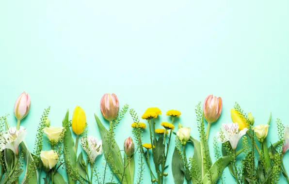 Картинка цветы, букет, тюльпаны, yellow, pink, flowers, tulips, spring