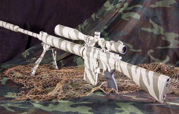 США, DPMS, американская автоматическая винтовка, Armalite, AR-10