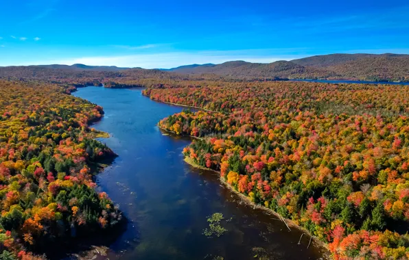 Картинка осень, лес, небо, деревья, пейзаж, река, США, штат Нью-Йорк