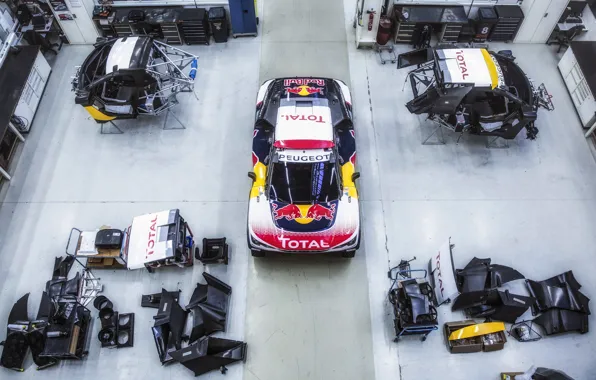 Авто, Спорт, Машина, Скорость, Сверху, Peugeot, Гараж, Red Bull