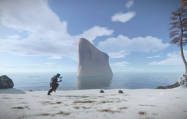 Море, природа, человек, выживание, Rust, бегать