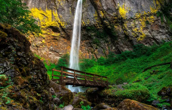 Картинка мост, скала, камни, водопад, США, тропинка, Oregon, Elowah Falls