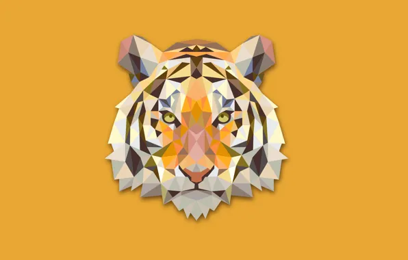 Абстракция, тигр, минимализм, голова, tiger