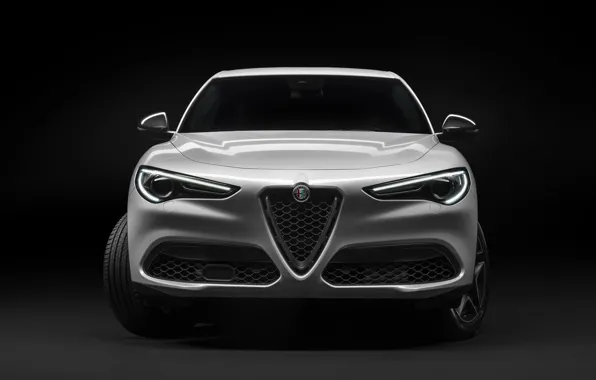 Alfa Romeo, вид спереди, кроссовер, Stelvio, 2019, Stelvio Ti