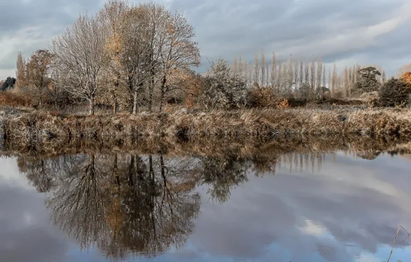 Картинка Autumn, England, Alverthorpe, winter reflections, Wakefield