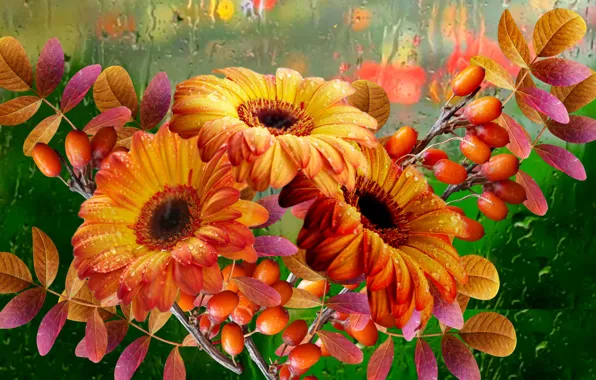 Картинка осень, цветы, дождь, Букет
