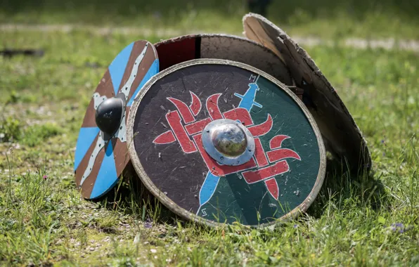 Картинка трава, щиты, викингов