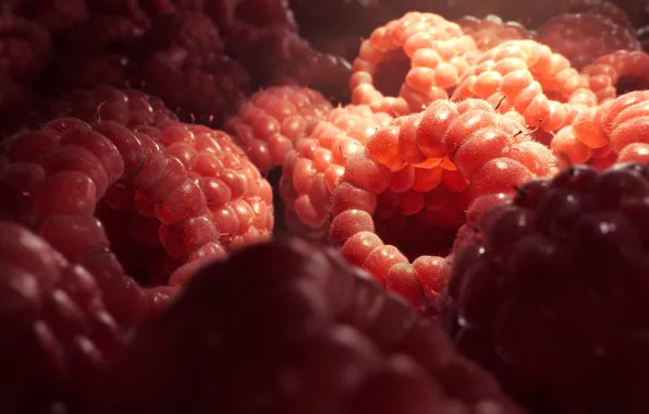 Raspberries, Еда, Ягода, Малина, Raspberry, Рендеринг, Rendering, Tomas Kral