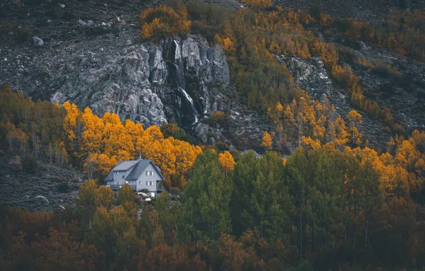 House, forest, trees, autumn, mountains, rocks, landscapes, home