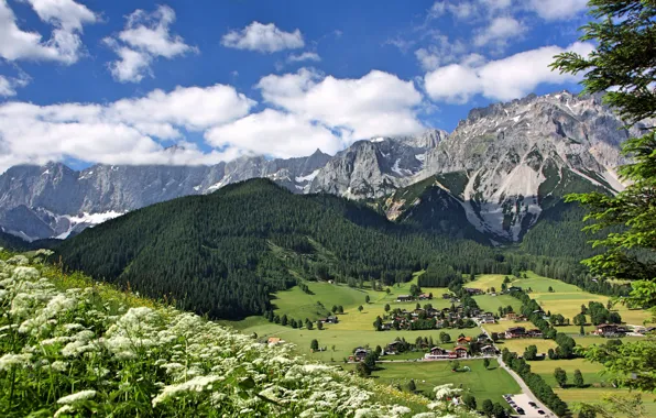 Цветы, горы, Австрия, долина, деревня, Альпы, панорама, Austria