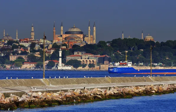 Картинка море, птицы, пролив, корабль, мечеть, Стамбул, Турция, минарет