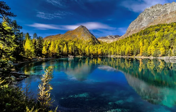 Осень, лес, горы, озеро, отражение, Швейцария, Альпы, Switzerland