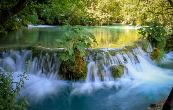 Вода, природа, водопад, красота, растения, Хорватия, Плитвицкие озёра