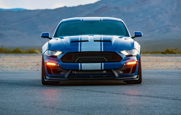 Shelby, вид спереди, 2018, Wide Body, Super Snake