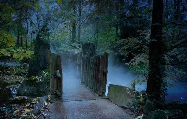 Картинка осень, лес, ночь, туман, forest, мостик, bridge, night