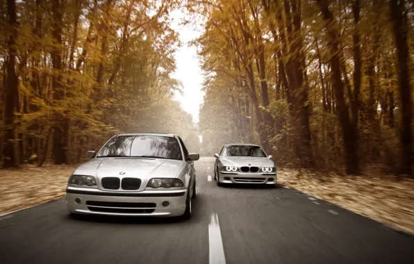Картинка дорога, осень, лес, фары, скорость, BMW, E46, E39