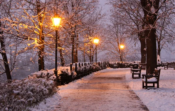 Картинка зима, снег, деревья, огни, парк, вечер, Чехия, фонари