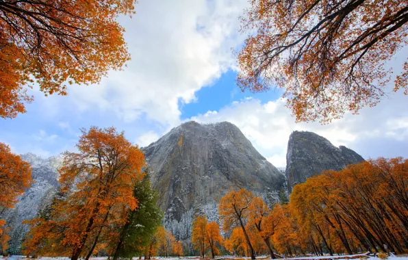 Картинка осень, небо, листья, облака, снег, деревья, горы, Калифорния