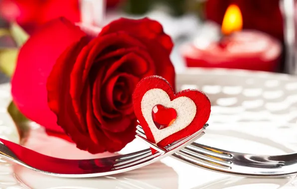 Романтика, сердце, роза, красная, heart, romantic, Valentine`s day, день Святого Валентина