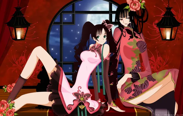 Цветы, ночь, девушки, луна, аниме, окно, xxxHolic, Триплексоголик