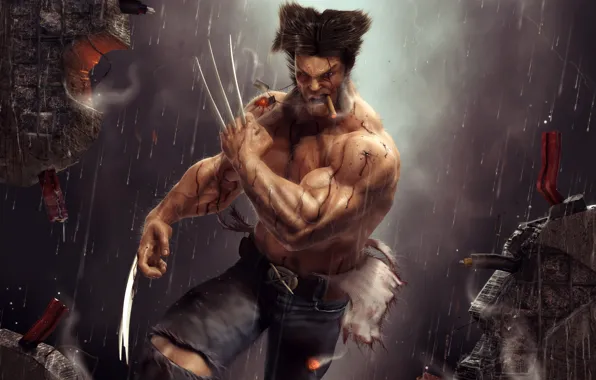 Картинка Wolverine, Logan, Artwork, Wide