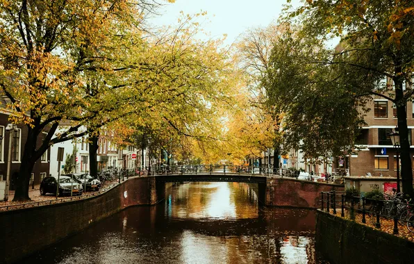 Мост, Город, Осень, Река, Амстердам, Нидерланды, Amsterdam, Autumn