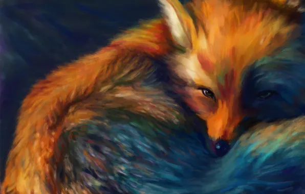 Мордочка, хвост, fox, лисица, рыжая голова, свернулась калачиком, by Digitds