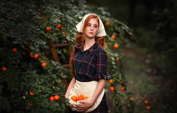Девушка, поза, модель, яблоки, girl, косынка, сбор урожая, model