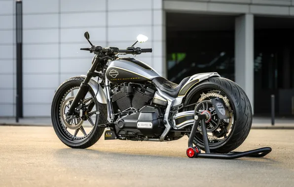 Harley-Davidson, Rear, Вид Сбоку, Customized, Softail Breakout, Thunderbike, Steel Horse, Custombikes