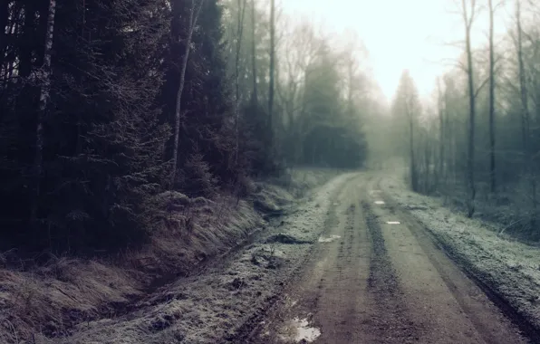 Картинка дорога, лес, грязь