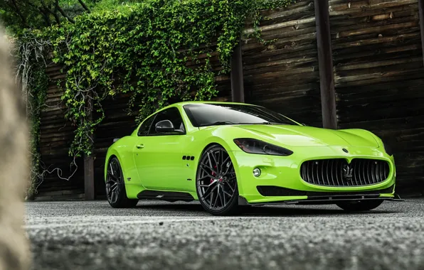 Maserati, Quattroporte, Wall, Green, Beauty, Itallian