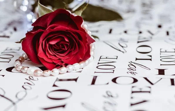 Макро, цветы, розы, бусы, бутоны