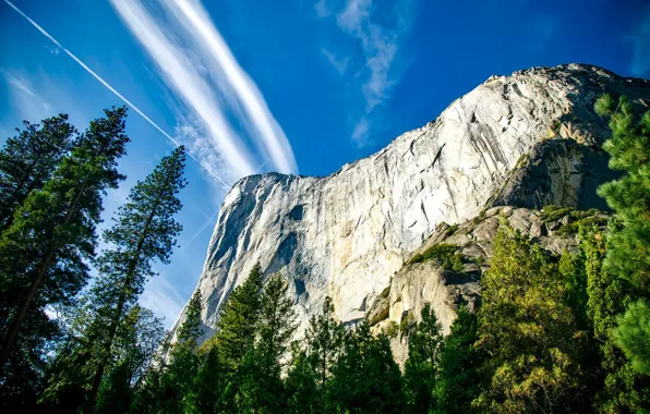 Картинка небо, деревья, скалы, США, Йосемити, Yosemite National Park