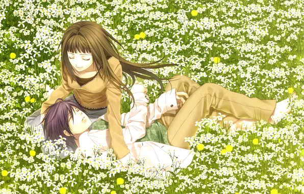 Картинка поле, девушка, цветы, аниме, арт, парень, лёжа, hiiro no kakera
