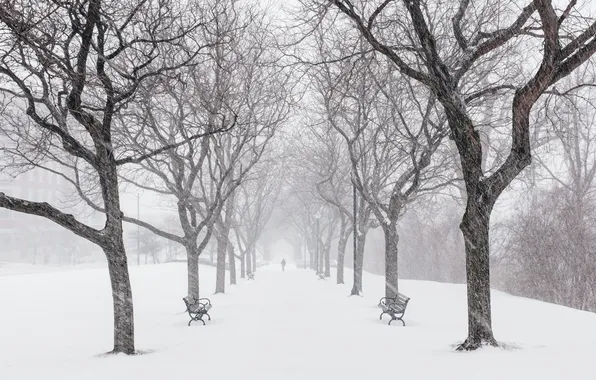 Картинка зима, город, улица