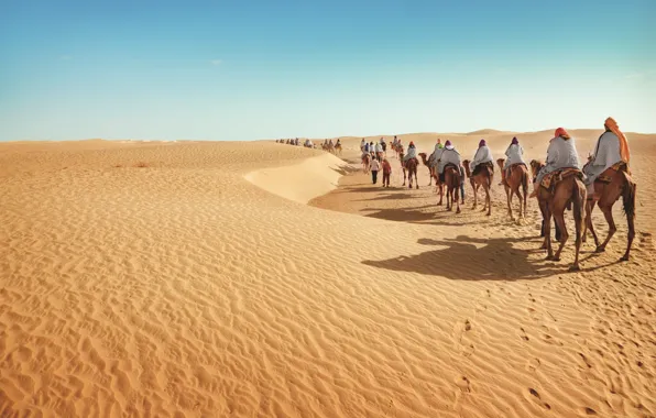 Картинка desert, sand, tourism, camels, caravan