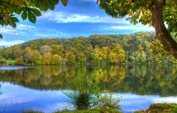 Картинка осень, лес, вода, деревья, отражение, река, берег, Германия