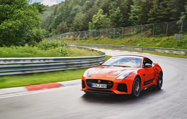 Зелень, оранжевый, трасса, Jaguar, поворот, сырость, 2016, F-Type SVR Ring-Cat