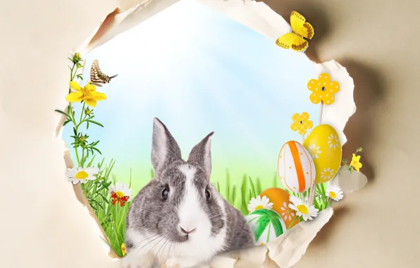 Картинка бабочки, цветы, праздник, кролик, пасха, окошко, яички