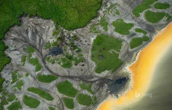 Африка, водопой, Уганда, буйвол, Queen Elizabeth National Park