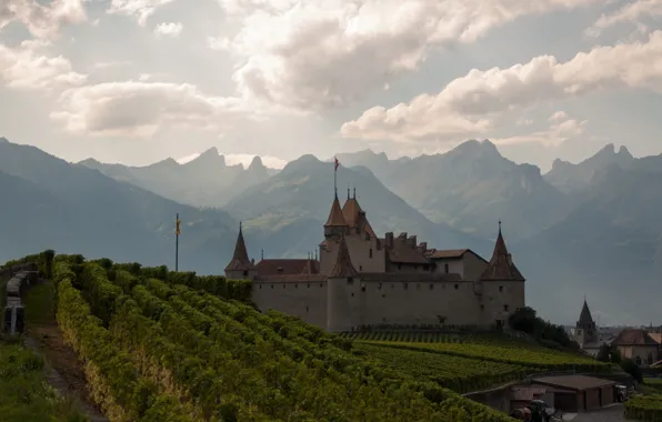 Горы, Швейцария, Альпы, виноградник, Switzerland, Alps, Chateau d'Aigle, Замок Эгль