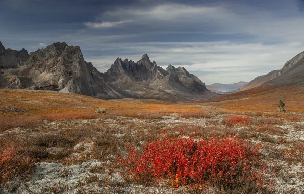 Картинка осень, пейзаж, горы, природа, растительность, долина, Канада, Юкон