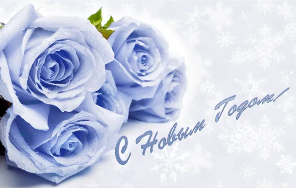 Картинка снежинки, розы, поздравление